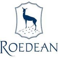 Rodean   Logo